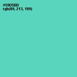 #59D5BD - De York Color Image