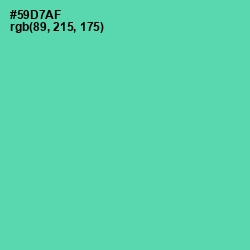 #59D7AF - De York Color Image