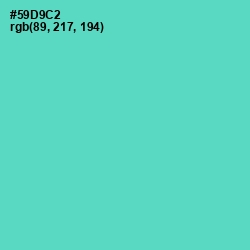 #59D9C2 - Downy Color Image
