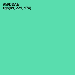 #59DDAE - De York Color Image