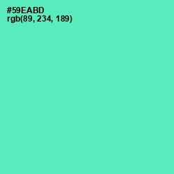 #59EABD - De York Color Image
