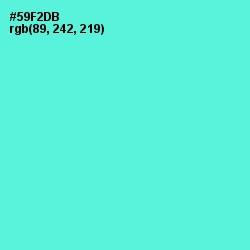 #59F2DB - Turquoise Blue Color Image