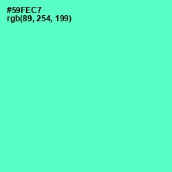 #59FEC7 - Aquamarine Color Image