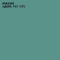 #5A9389 - Smalt Blue Color Image