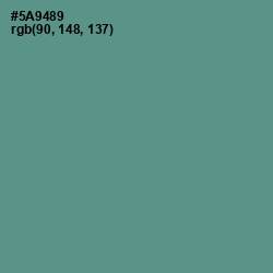 #5A9489 - Smalt Blue Color Image