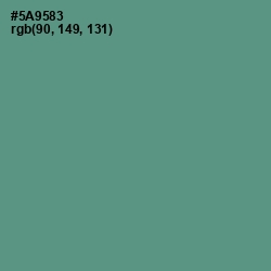 #5A9583 - Smalt Blue Color Image