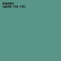 #5A9687 - Smalt Blue Color Image