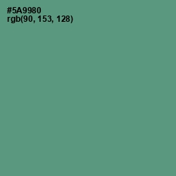 #5A9980 - Smalt Blue Color Image