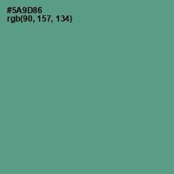 #5A9D86 - Smalt Blue Color Image