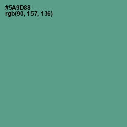 #5A9D88 - Smalt Blue Color Image