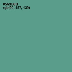 #5A9D8B - Smalt Blue Color Image