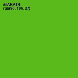 #5ABA1B - Christi Color Image