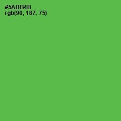 #5ABB4B - Fern Color Image