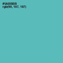 #5ABBBB - Fountain Blue Color Image