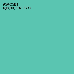 #5AC5B1 - De York Color Image