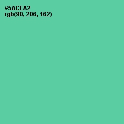 #5ACEA2 - De York Color Image