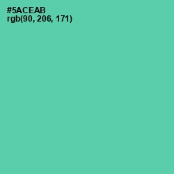 #5ACEAB - De York Color Image