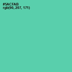 #5ACFAB - De York Color Image