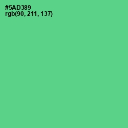 #5AD389 - De York Color Image