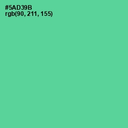 #5AD39B - De York Color Image