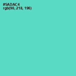 #5ADAC4 - Downy Color Image