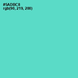 #5ADBC8 - Downy Color Image