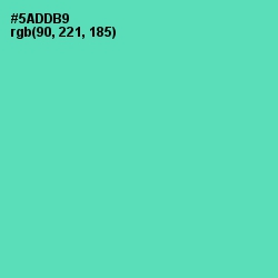 #5ADDB9 - De York Color Image