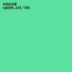 #5AE09F - De York Color Image