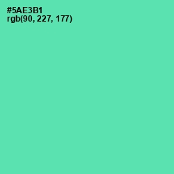 #5AE3B1 - De York Color Image