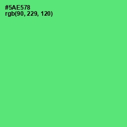 #5AE578 - Pastel Green Color Image