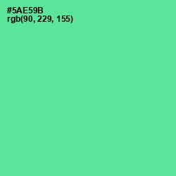 #5AE59B - De York Color Image