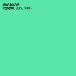 #5AE5AA - De York Color Image