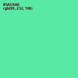 #5AE8A6 - De York Color Image