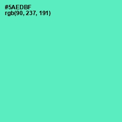#5AEDBF - De York Color Image