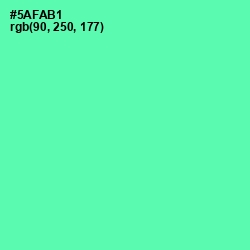 #5AFAB1 - De York Color Image