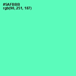#5AFBBB - De York Color Image