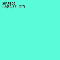 #5AFBD9 - Aquamarine Color Image