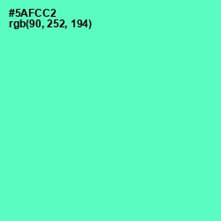 #5AFCC2 - Aquamarine Color Image