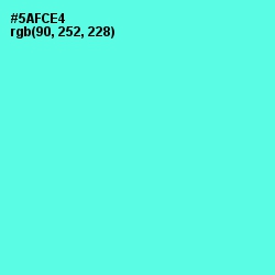 #5AFCE4 - Turquoise Blue Color Image