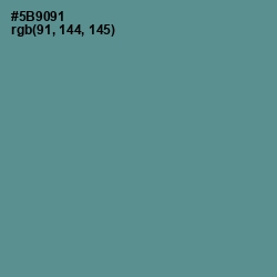 #5B9091 - Smalt Blue Color Image