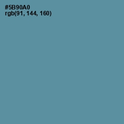 #5B90A0 - Hippie Blue Color Image