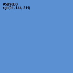 #5B90D3 - Havelock Blue Color Image