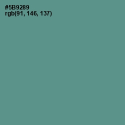 #5B9289 - Smalt Blue Color Image