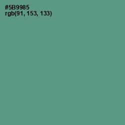 #5B9985 - Smalt Blue Color Image