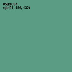 #5B9C84 - Smalt Blue Color Image