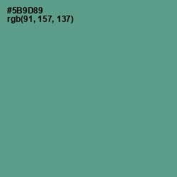 #5B9D89 - Smalt Blue Color Image