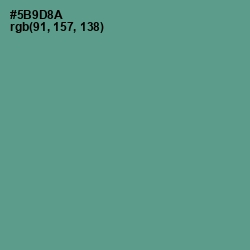 #5B9D8A - Smalt Blue Color Image