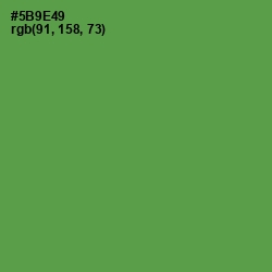 #5B9E49 - Fruit Salad Color Image
