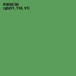 #5B9E5B - Fruit Salad Color Image