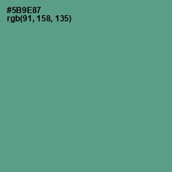 #5B9E87 - Smalt Blue Color Image